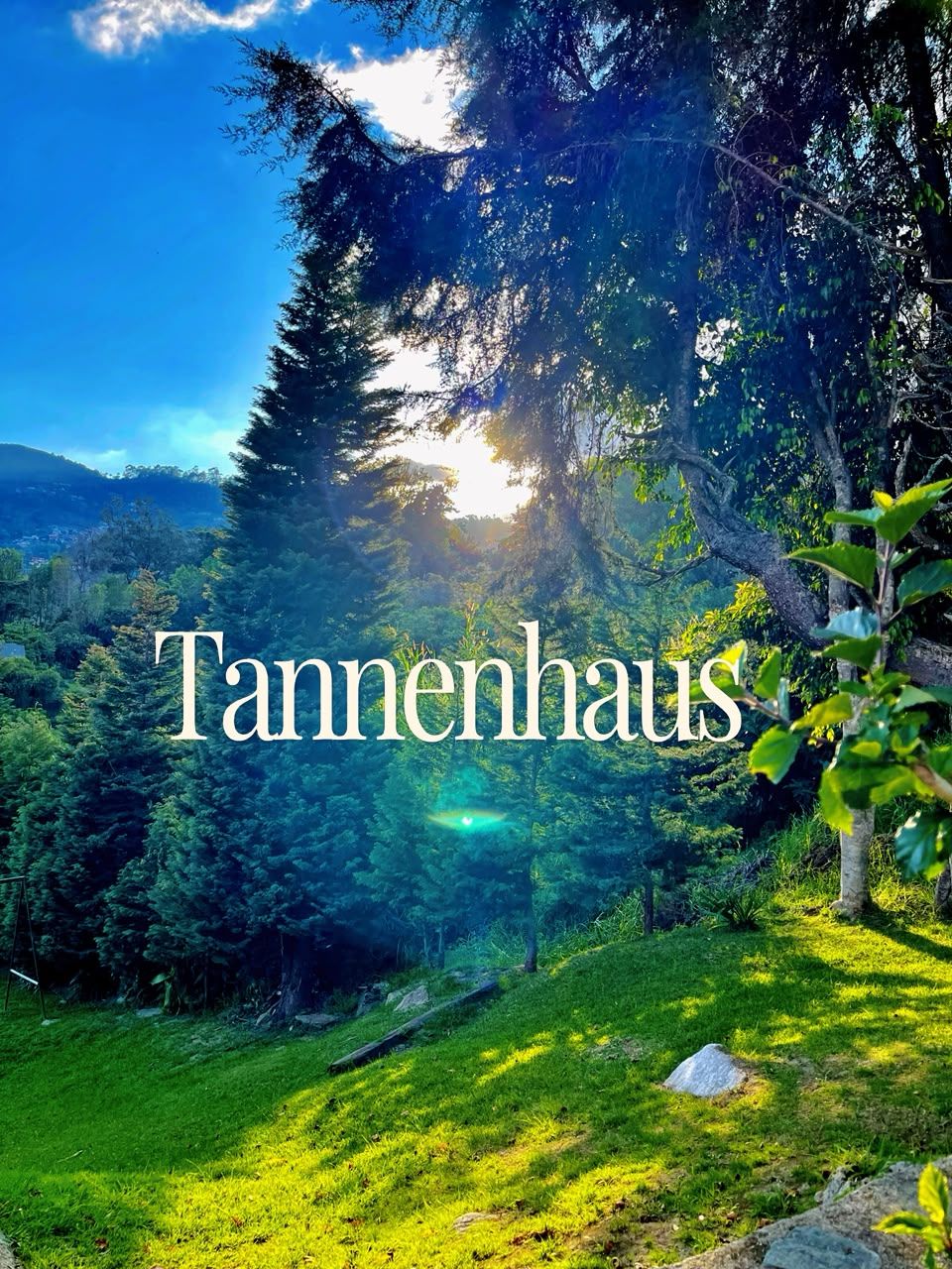 Posada Tannenhaus
